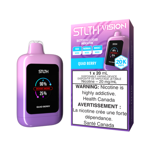 Vision Disposable Vape